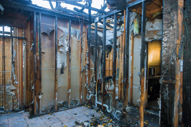 Professional Firefighting Water Removal technician working in Morton, WA