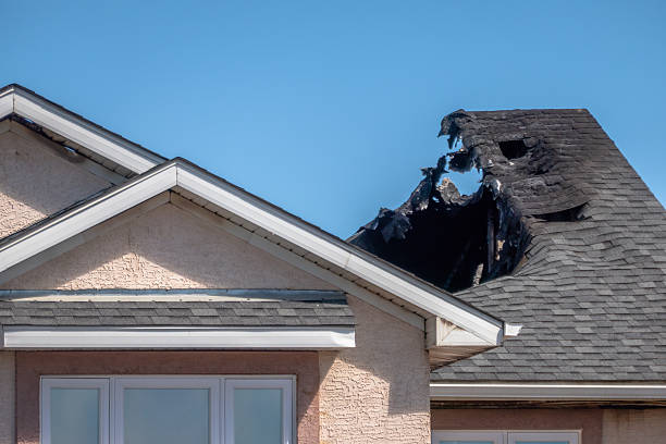 Top rated local Firefighting Water Removal specialists in Morton, WA